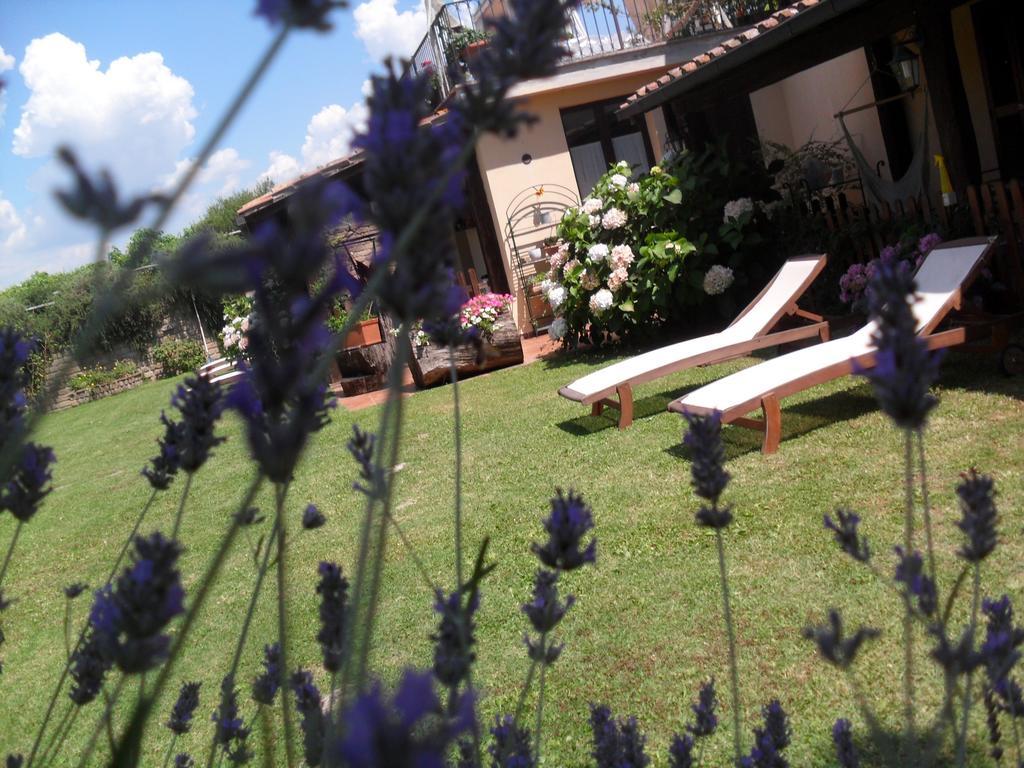 Agriturismo San Giacomo Pitigliano Rum bild